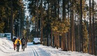 Wandern im Schnee